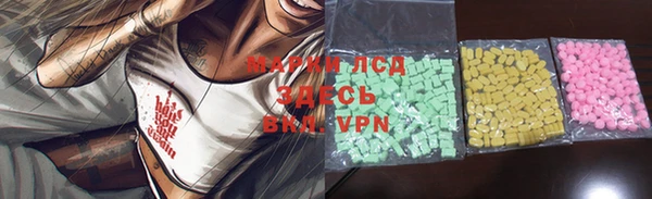 a pvp Новозыбков