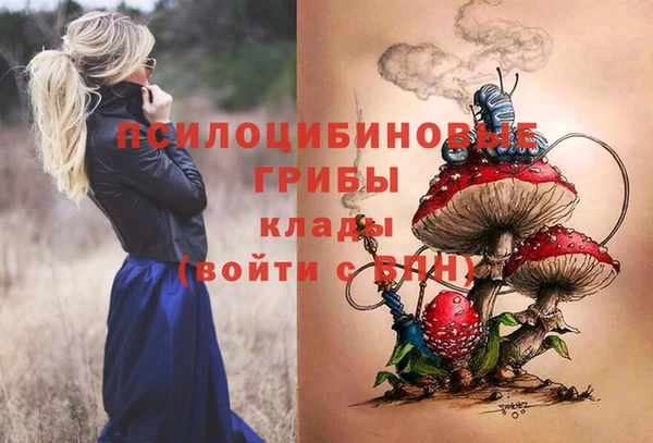 крисы Алзамай