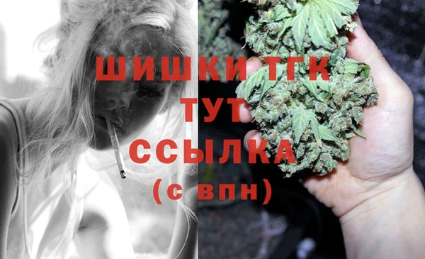 a pvp Новозыбков