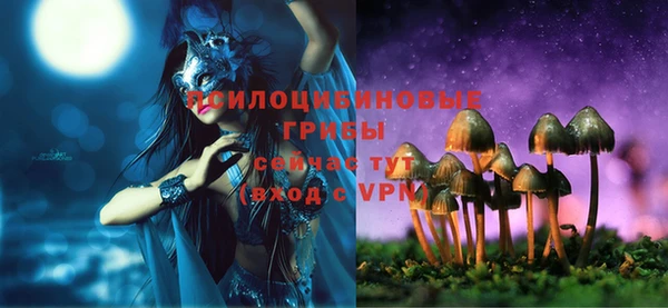крисы Алзамай