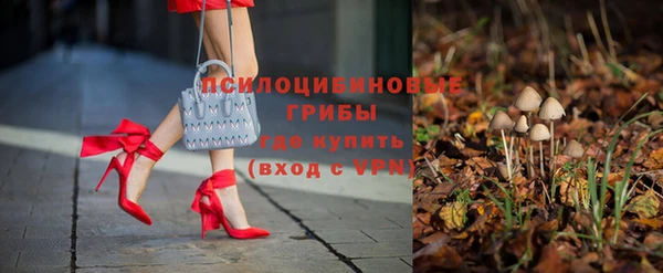 крисы Алзамай