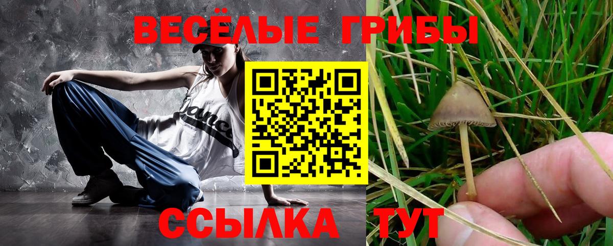 Галлюциногенные грибы Psilocybe Жуковский